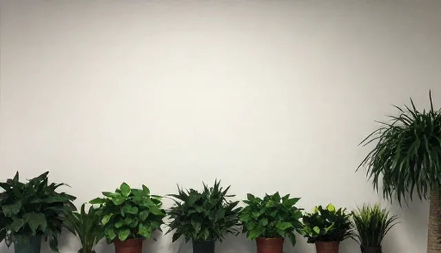 机电系统安装套餐性能优化与适用场景分析